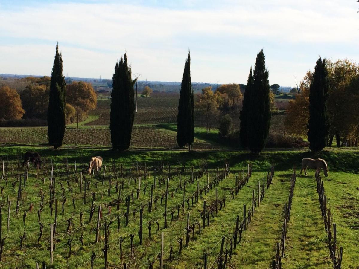 Chateau De La Grave Bourg-sur-Gironde Buitenkant foto